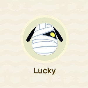 Meet your Posher, Roberto